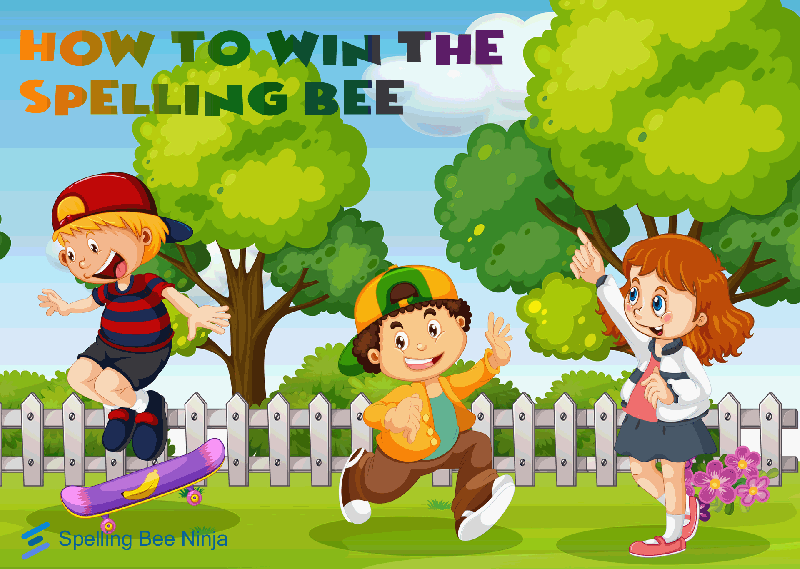 How to win spelling bee in 2024, a tutorial