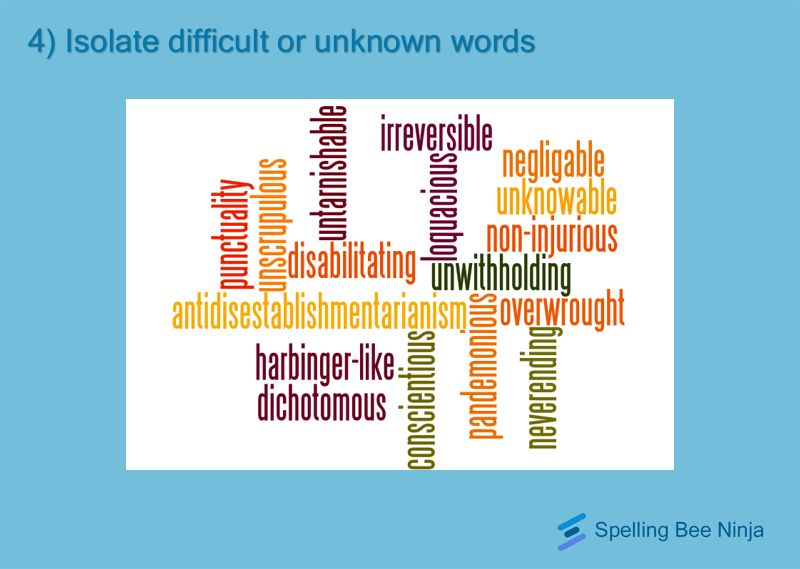 how-do-i-start-preparing-for-a-spelling-bee