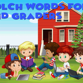 dolch words second grader