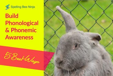 Build Phonological and Phonemic Awareness