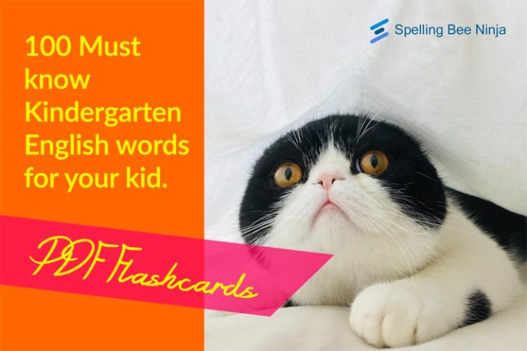 100 Must know Kindergarten English words for your kid