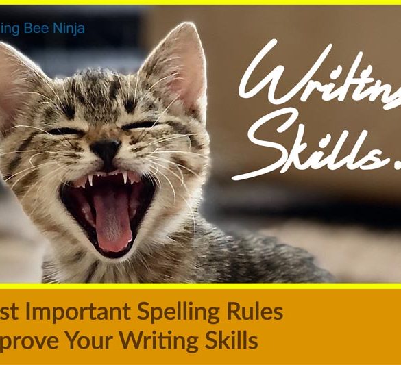 5 most important spelling rules to improve your writing skills
