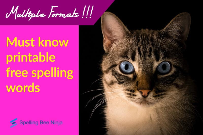 Must Know Printable Free Spelling Words 2023