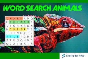 Free word search animals for k12 students
