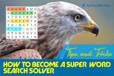 How to become a word search solver
