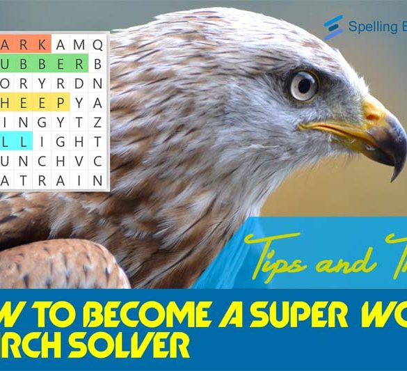 How to become a word search solver