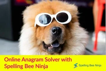 Anagram solver online with spelling bee ninja
