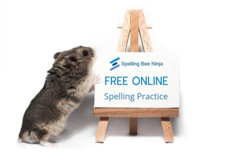 free online spelling practice