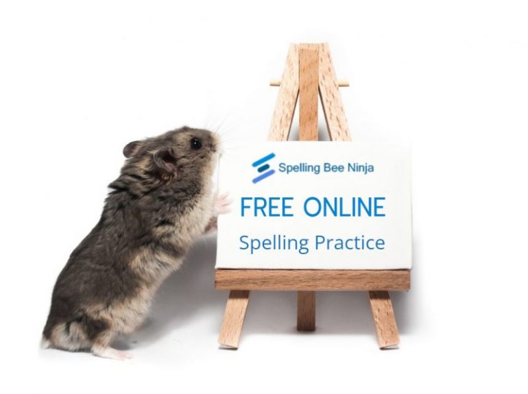 free online spelling practice