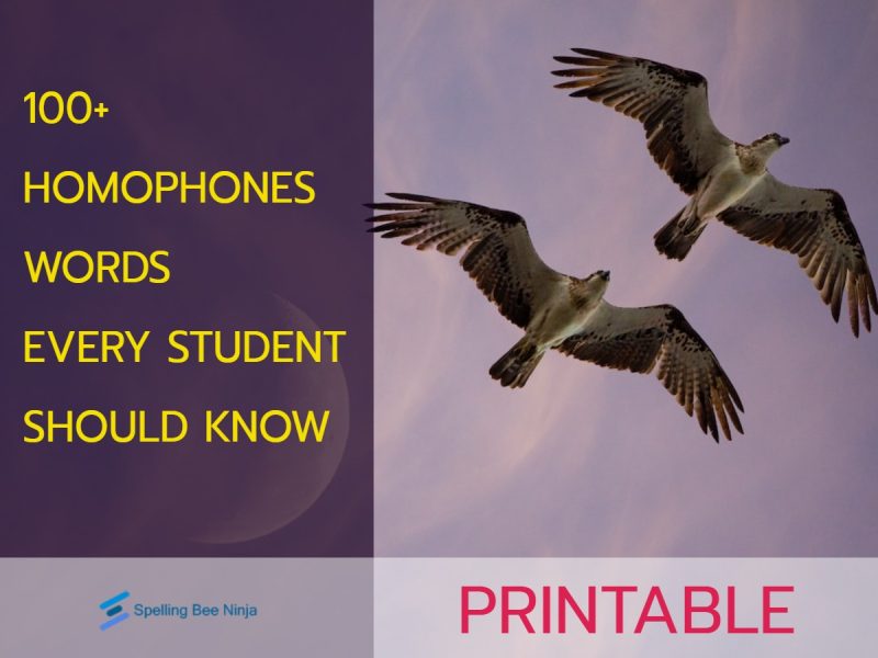 100 Homophones words every student should know.
