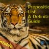Prepositions List a definitive guide
