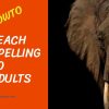 How to teach Spelling to adults