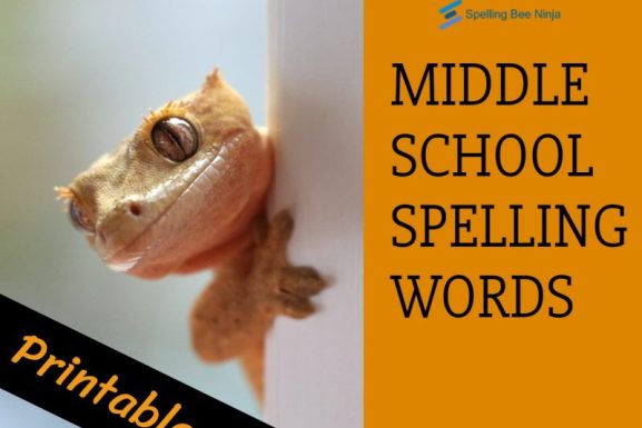 Middle School Spelling Words