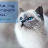 5 Spelling homework ideas