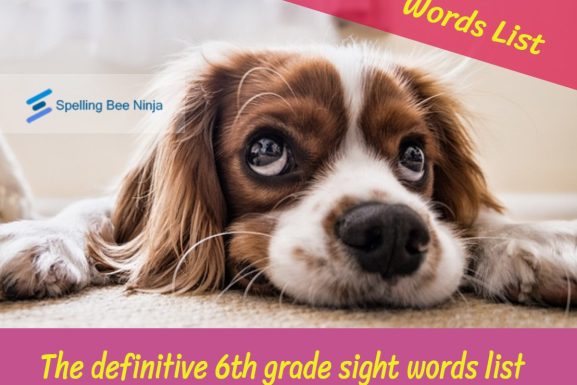 The definitive 6th grade sight words list
