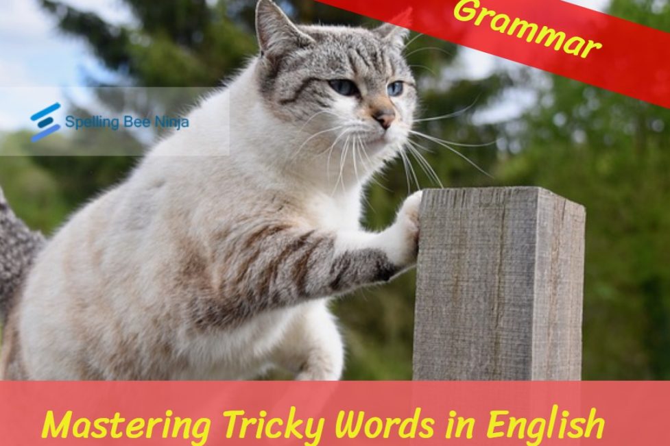 Mastering Tricky Words in English