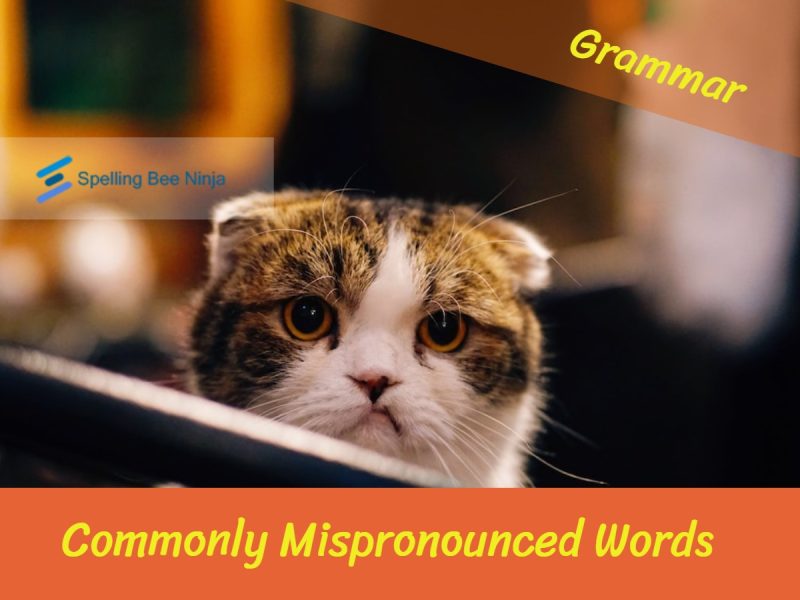Commonly Mispronounced Words