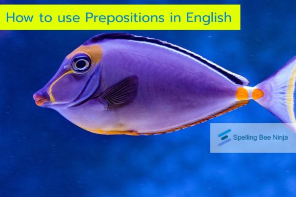 How to use prepositions in English