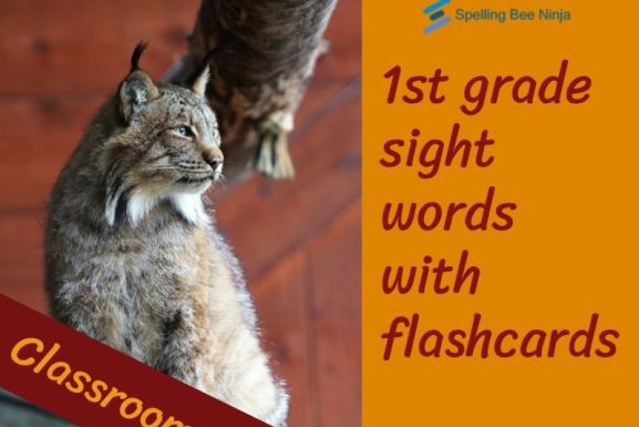 1st Grade Sight Words with Flashcards