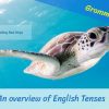 An Overview of English Tenses