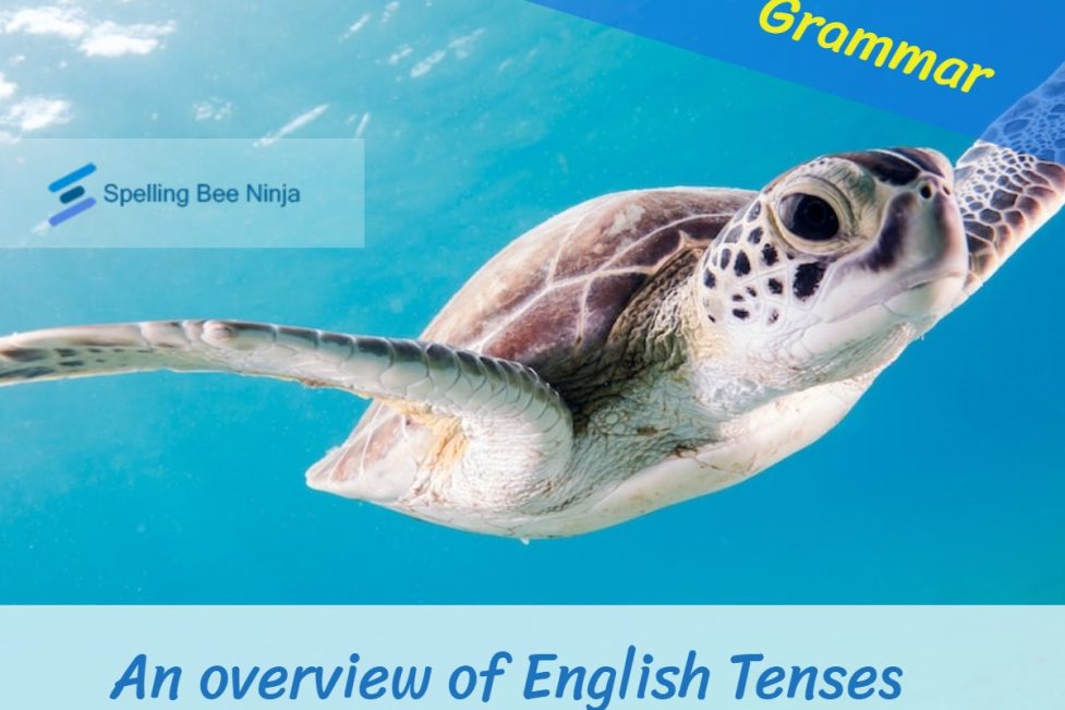 An Overview of English Tenses