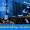 How to Use Articles in English