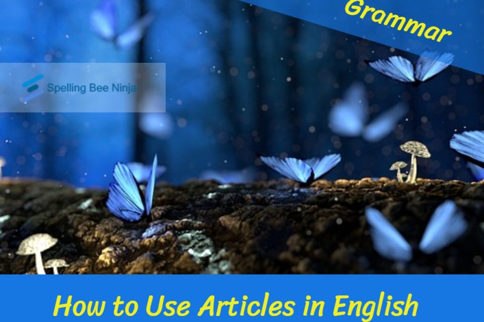 How to Use Articles in English