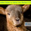How to Wite a CV - 10 Golden Rules