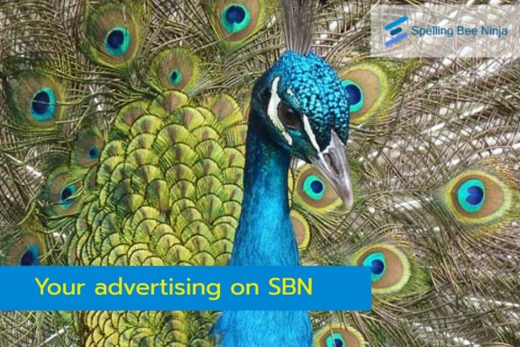 Advertising on Spelling Bee Ninja