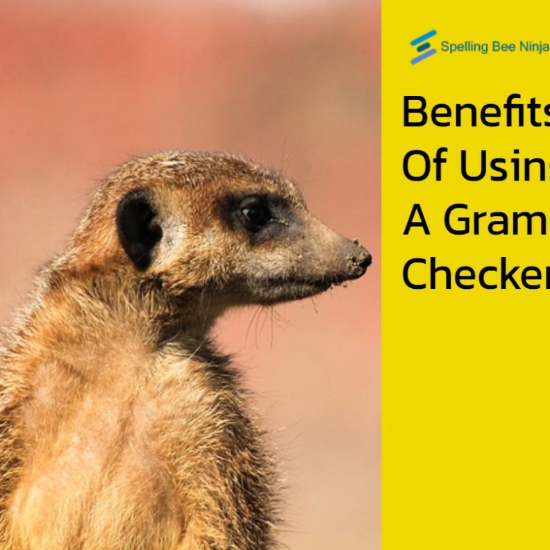 Benefits of Using a Grammar Checker