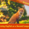 Learning English as a Second Language