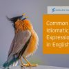 Common Idiomatic Expressions in English