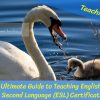 The Ultimate Guide to Teaching English as a Second Language (ESL) Certifications