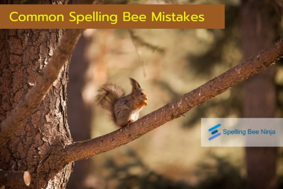 common spelling bee mistakes