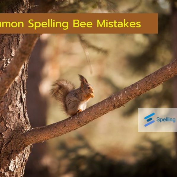 Is Your Spelling Bee Streak Doomed Find Out Now - ww27oob