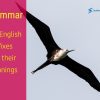 40 English Prefixes and their meanings