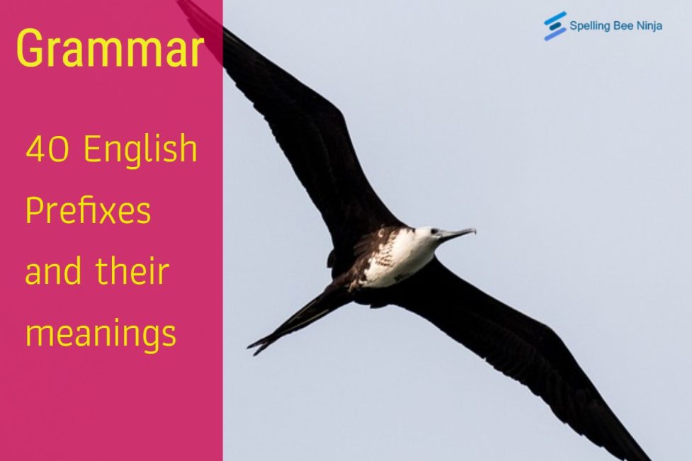 40 English Prefixes and their meanings