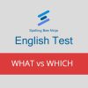 English Test What vs Which