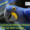 Exploring the Difference Between Will and Shall in English