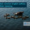 30 Most common English suffixes  and their meaning.