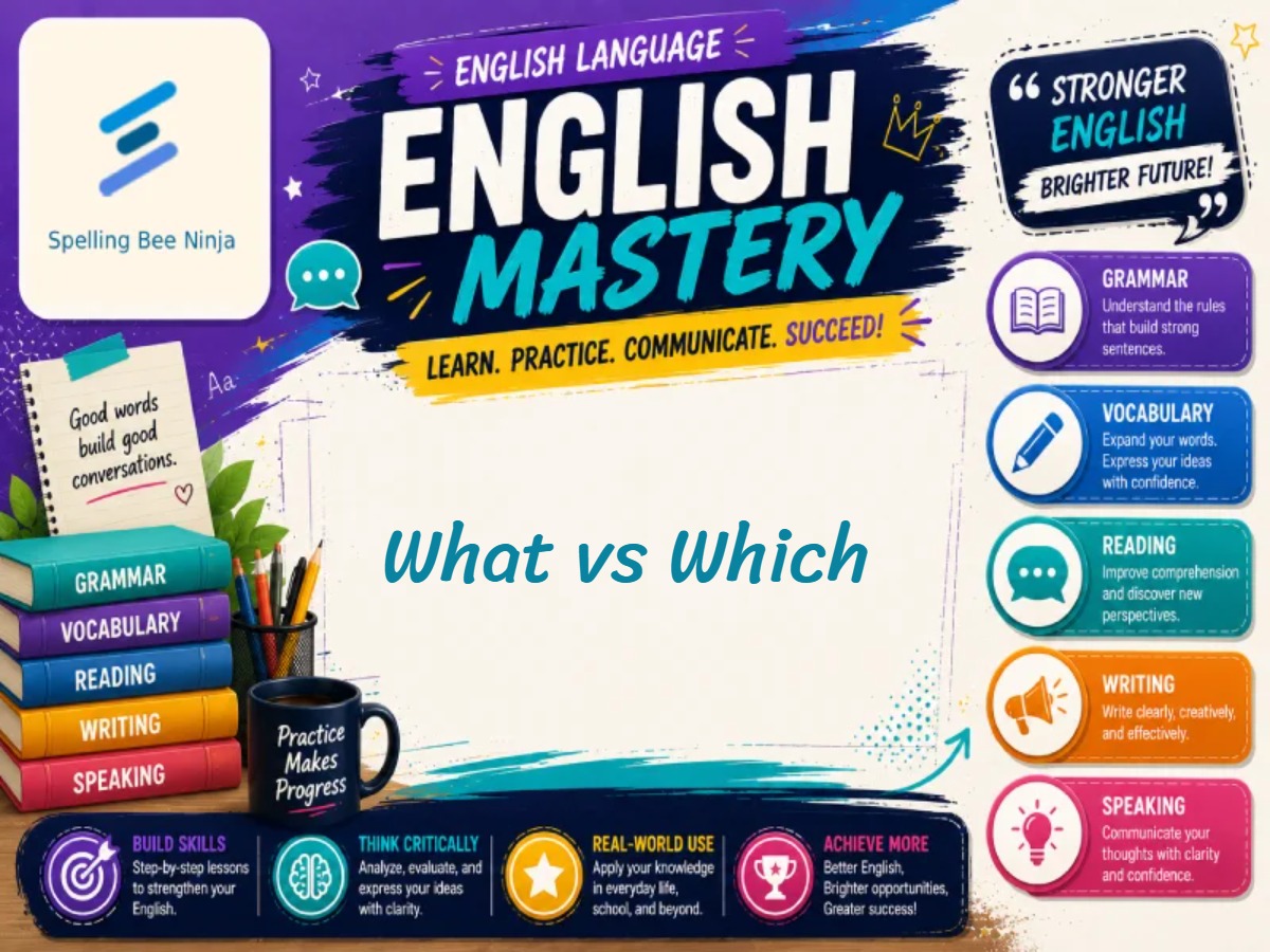✈️ What vs Which: differences and examples