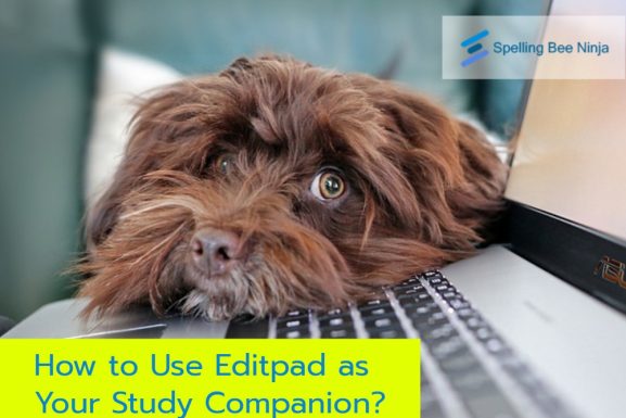 How to Use Editpad as Your Study Companion?