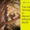 Tips and Techniques to Memorize Difficult Words