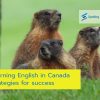 Learning English in Canada Strategies for Success