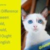 The Difference Between Could, Should, and Ought in English