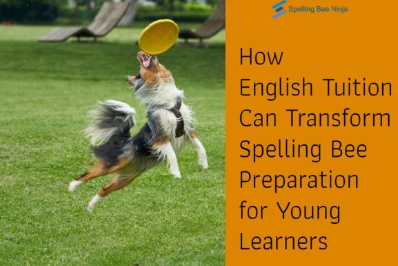 How English Tuition Can Transform Spelling Bee Preparation for Young Learners