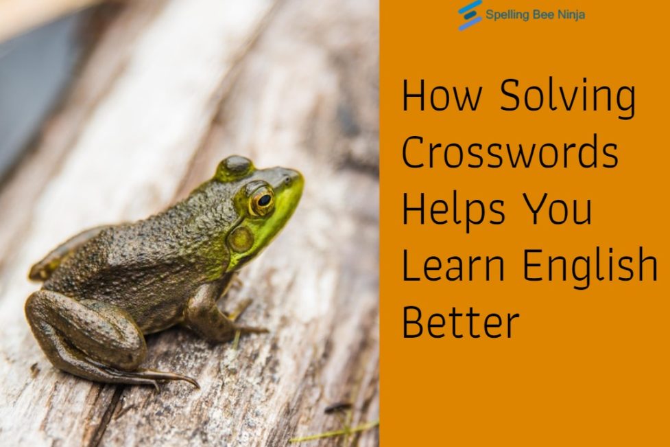 How Solving Crosswords Helps You Learn English Better