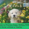 How to Practice Essay Writing Skills at Home without a Teacher