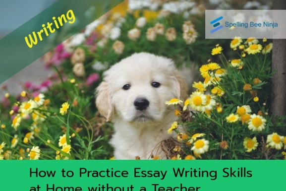 How to Practice Essay Writing Skills at Home without a Teacher