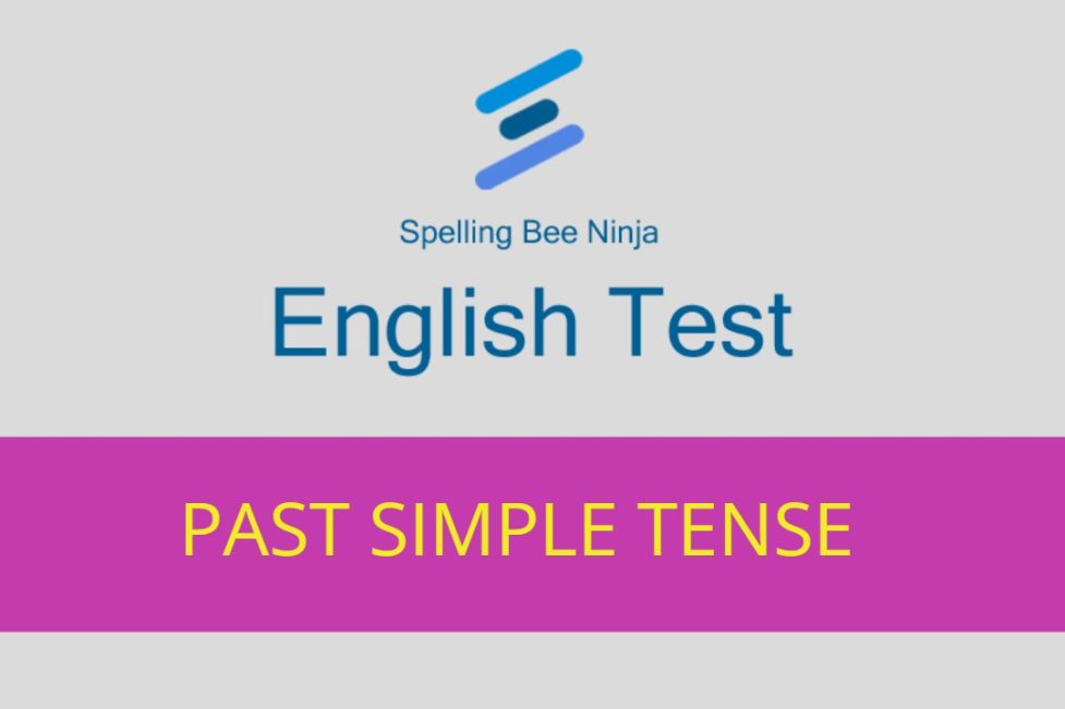 PAST SIMPLE TENSE